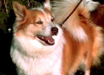 22.jpg (15923 bytes)