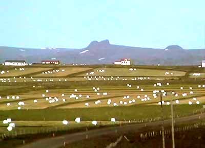 43.jpg (16250 bytes)