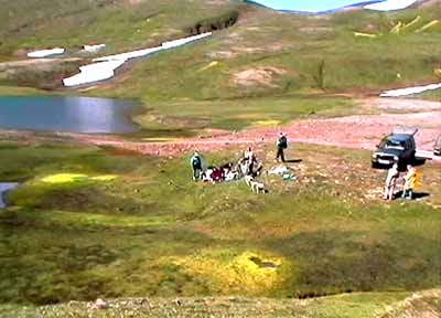 50.jpg (23201 bytes)