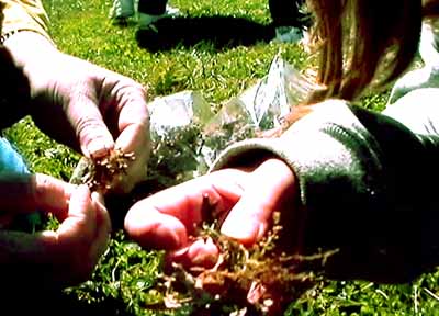 51.jpg (30930 bytes)