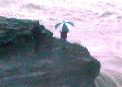 81.jpg (12302 bytes)