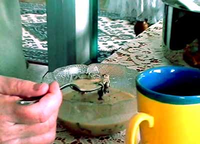 85.jpg (21522 bytes)